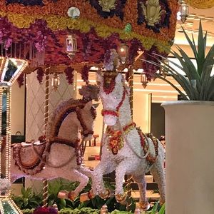 Meet your Posher, Vickie